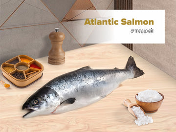 Norwegian Salmon / Atlantic Salmon/அட்லாண்டிக் சால்மன் - Slices