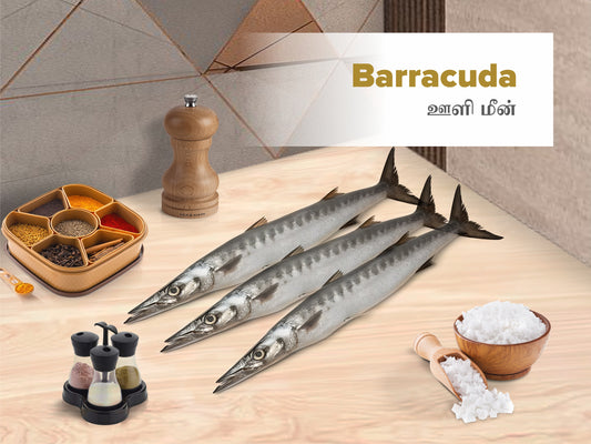 Barracuda / Ooli / ஷீலாவு - Slice