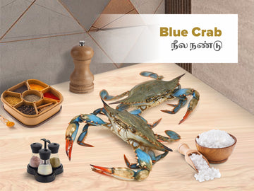 Blue crab / நீல நண்டு -  Whole