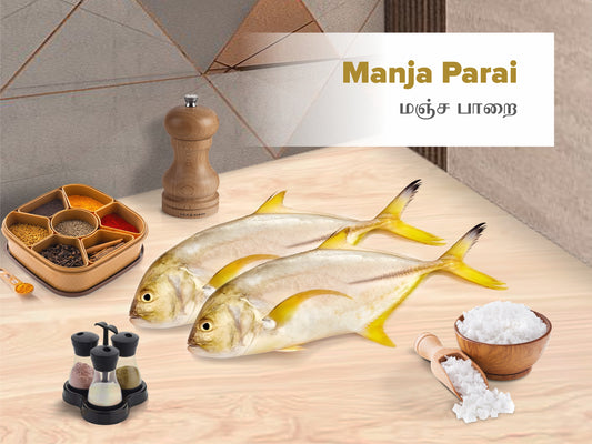 Trevally / மஞ்சள் பாறை - Slice