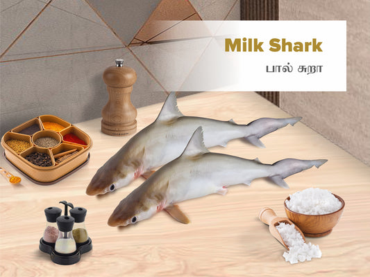 Milk Shark / பால் சுறா Slices